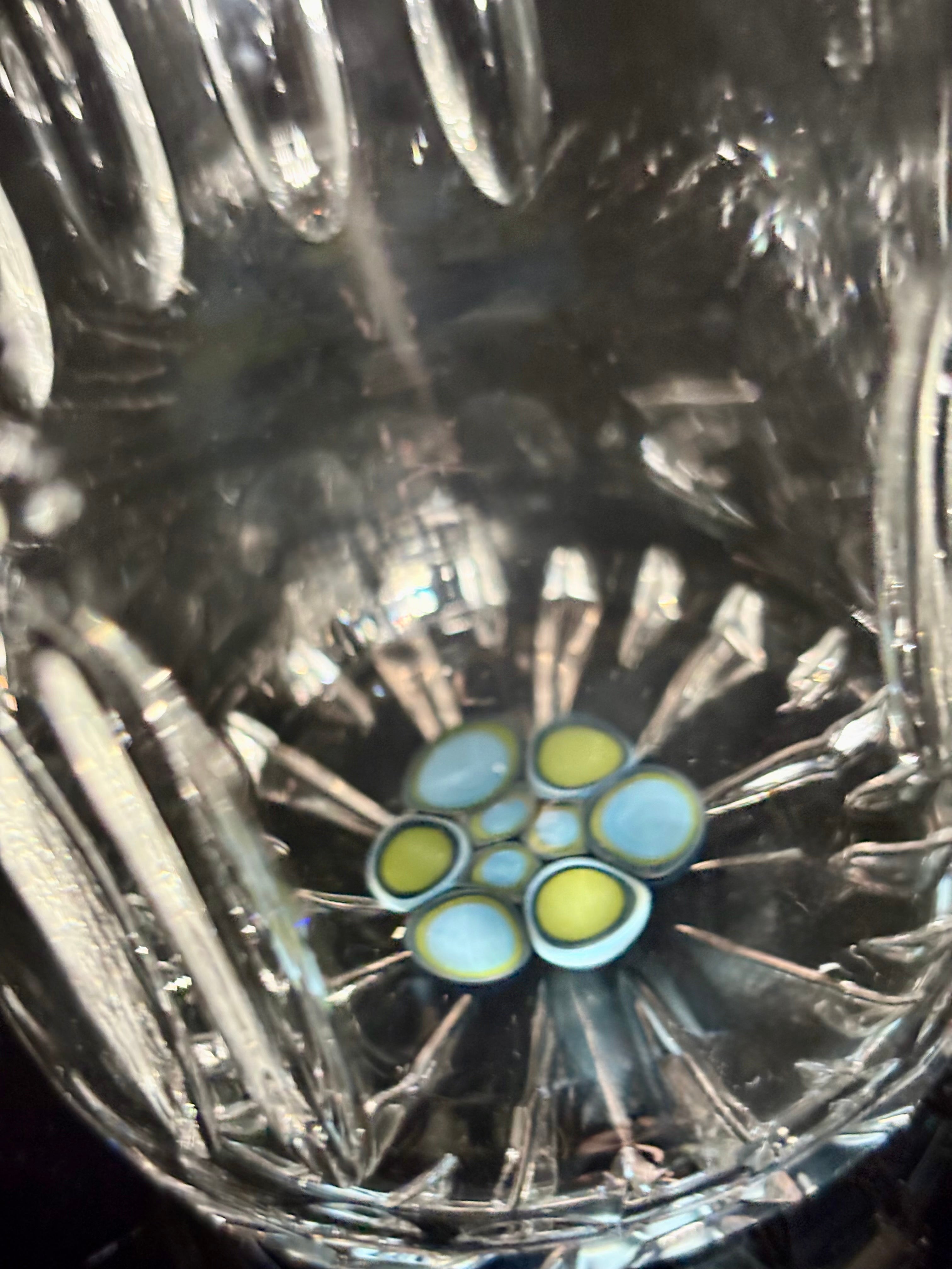 Starter series pint 2