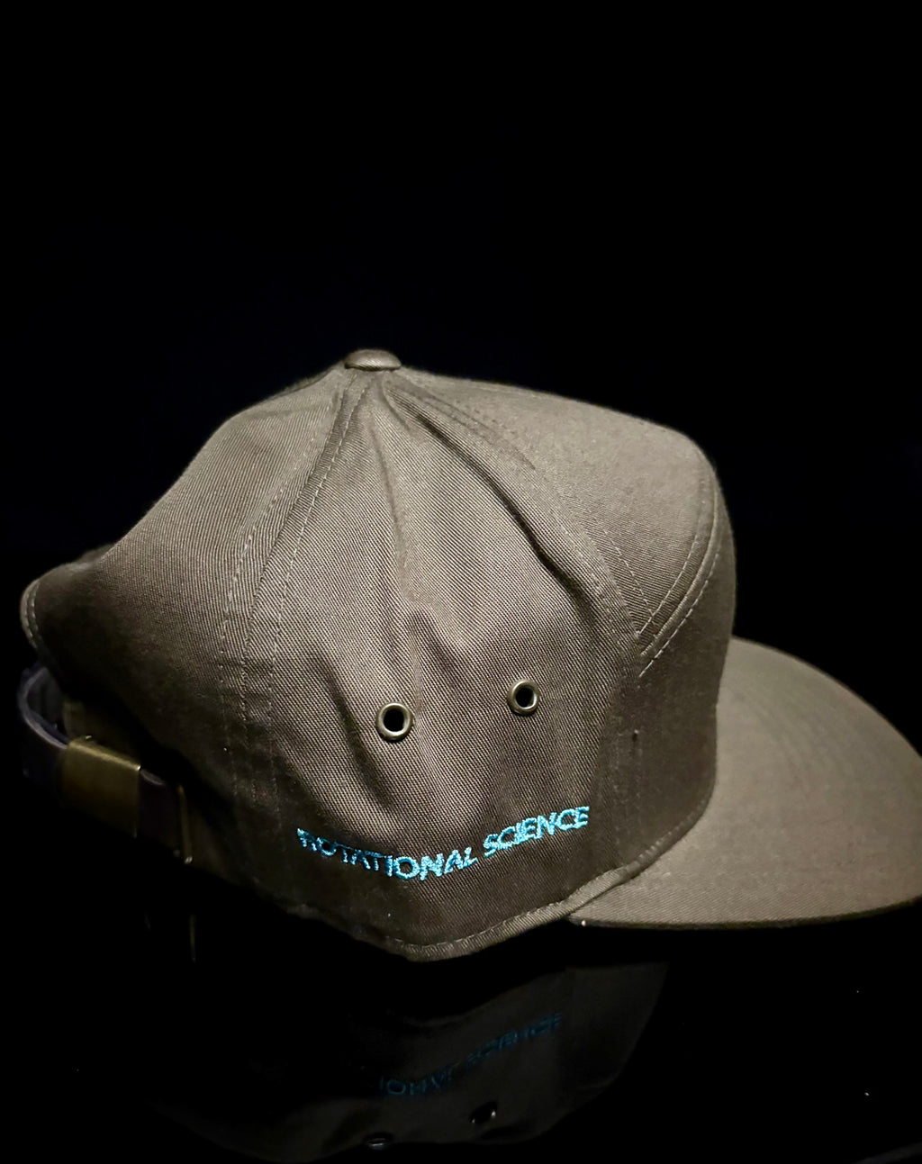 Brown with light blue RS Embroidery Hat